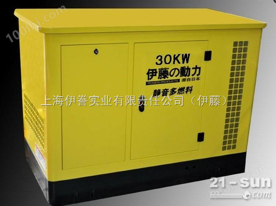 30KW汽油发电机 *燃气发电机