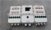 BXM51防爆照明配电箱（IIB/IIC），防爆配电箱厂家