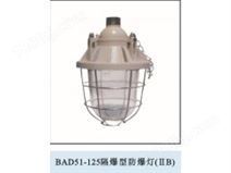 BAD51-100隔爆型防爆灯