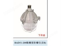 BAD51-200隔爆型防爆灯（下开启）