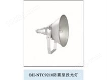 BH-NTC9210防震投光灯