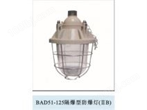 BAD51-125隔爆型防爆灯