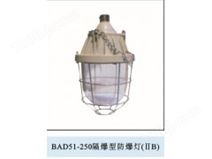 BAD51-250隔爆型防爆灯