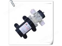 微型水泵自吸水泵 微型隔膜水泵 微型水泵 -普兰迪品牌