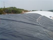 供应白银防渗膜土工布天水两布一膜排水网