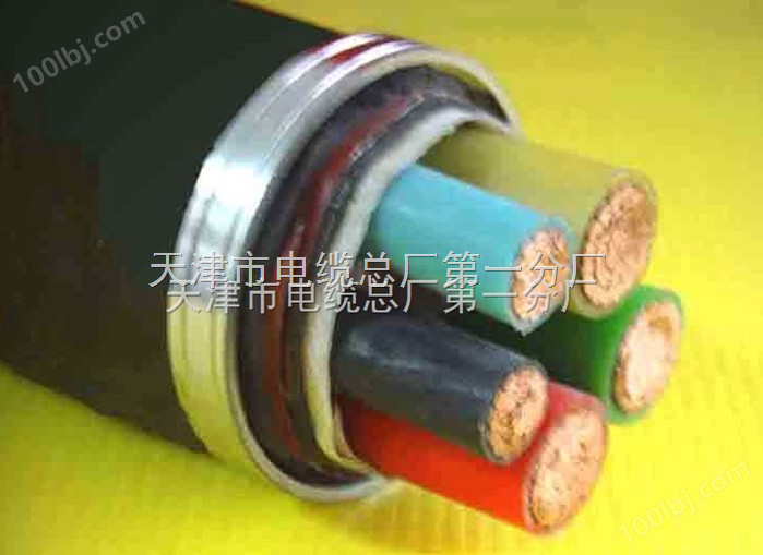 KVV450V/750V控制电缆-天津市电缆总厂*分厂